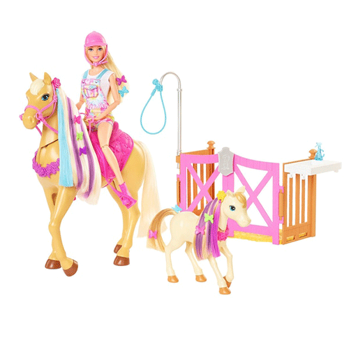 Barbie Groom ‘n Care Playset with Doll and Horse Toys